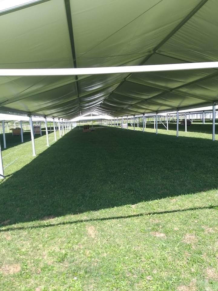 96116521_3041538979223084_4048348010415915008_n