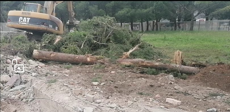 Screenshot_20200515_193537-810x395